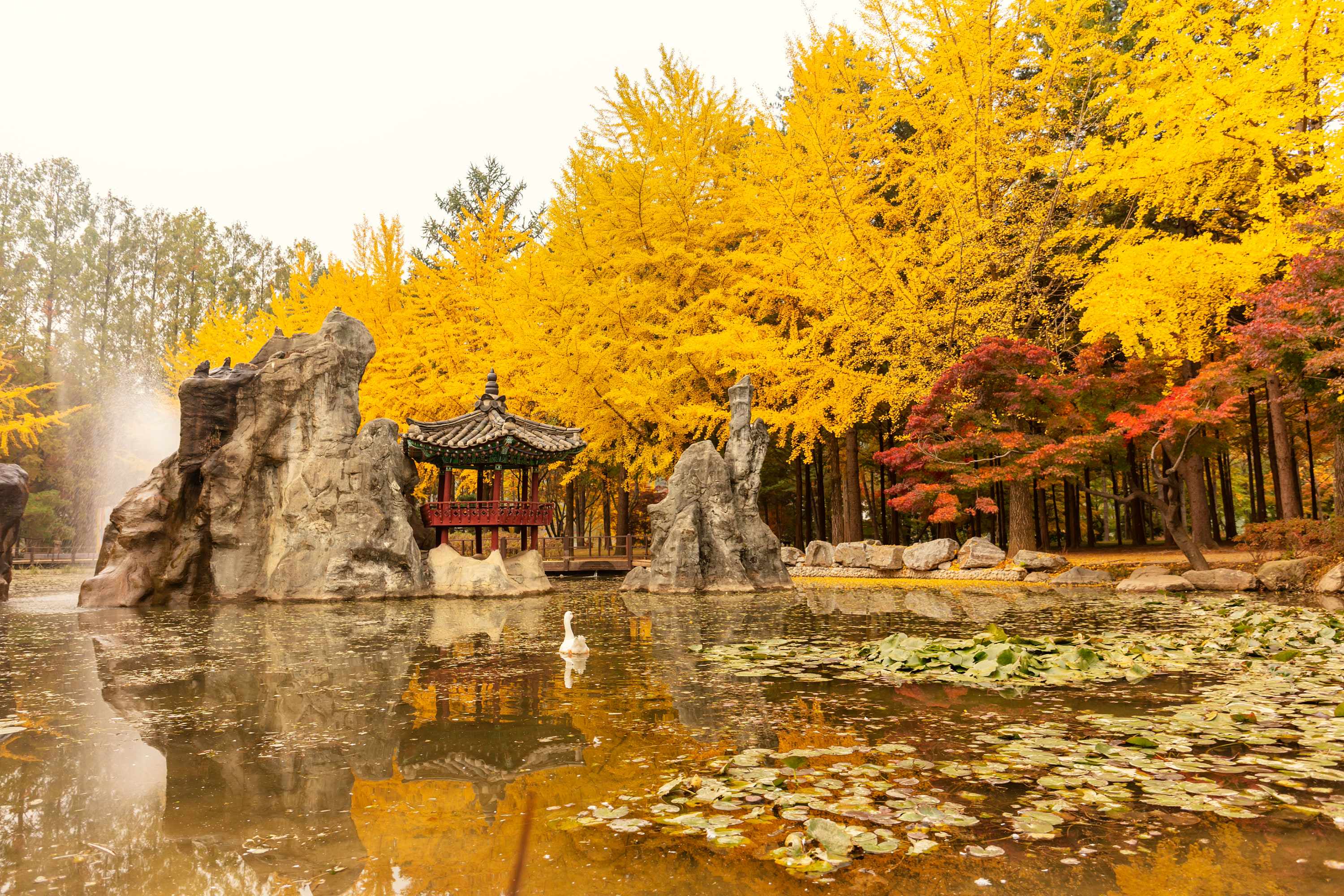 南怡島 / 羊駝樂園 / 春川 （部分景點） 10小時私人遊