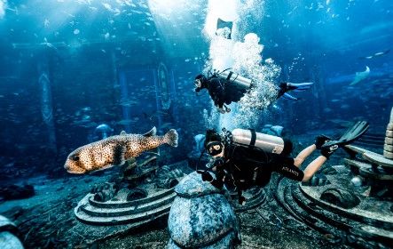 三亞亞特蘭蒂斯失落的空間水族館