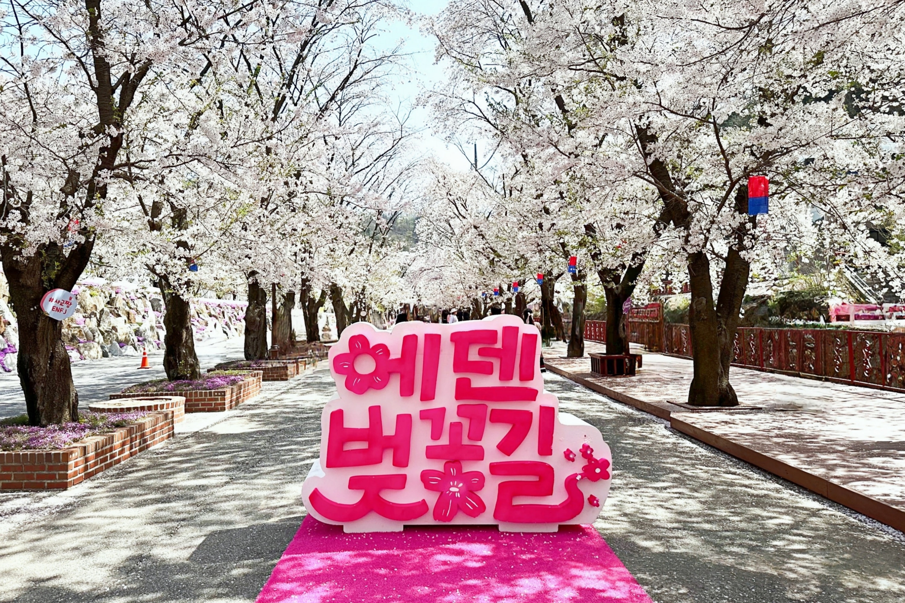 Nari Park (Pink Muhly) & Nami Island & Gangchon Rail Bike Day Tour