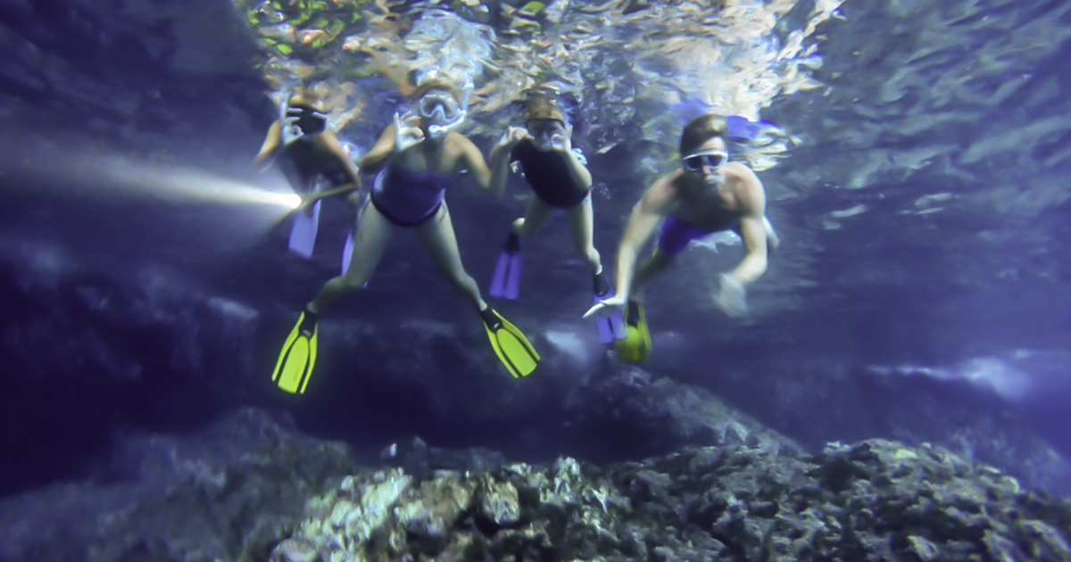 Let us guide and show you! Snorkelling trip Ustica