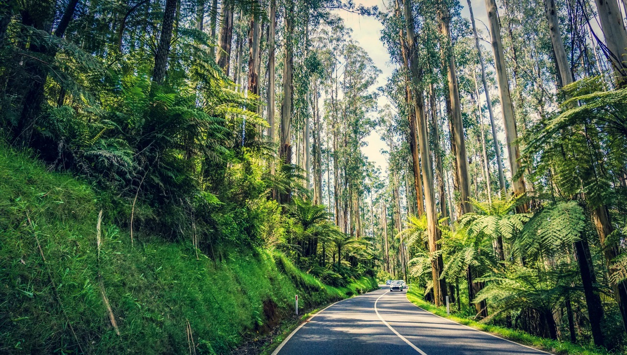Private Sydney South Coast & Kiama Tour