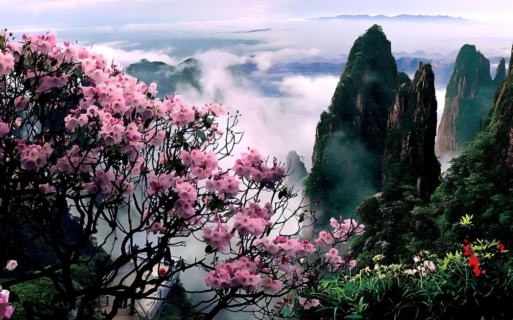 Chenzhou Wuzhifeng & Mangshan Full-Day Tour with Cloud Walk