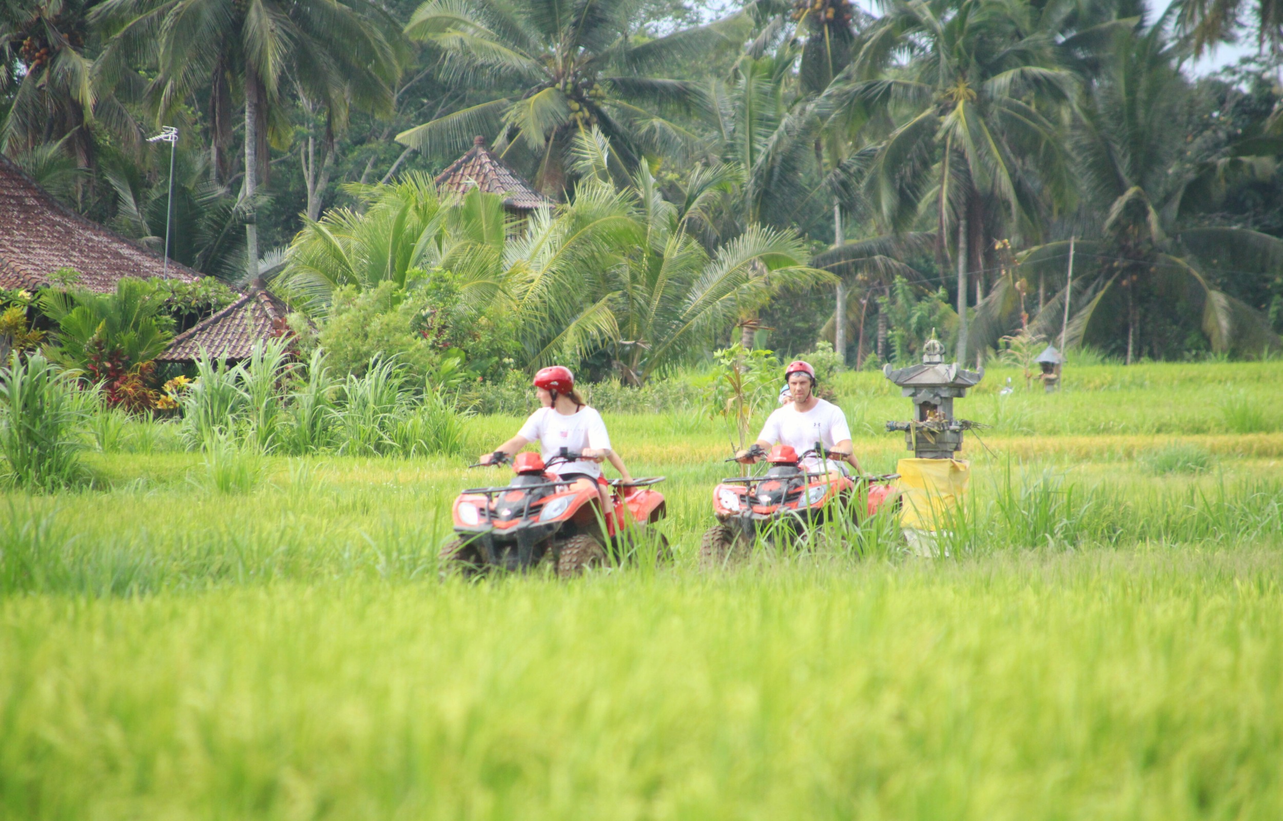 烏布ATV越野體驗（DADI Bali Adventures提供）