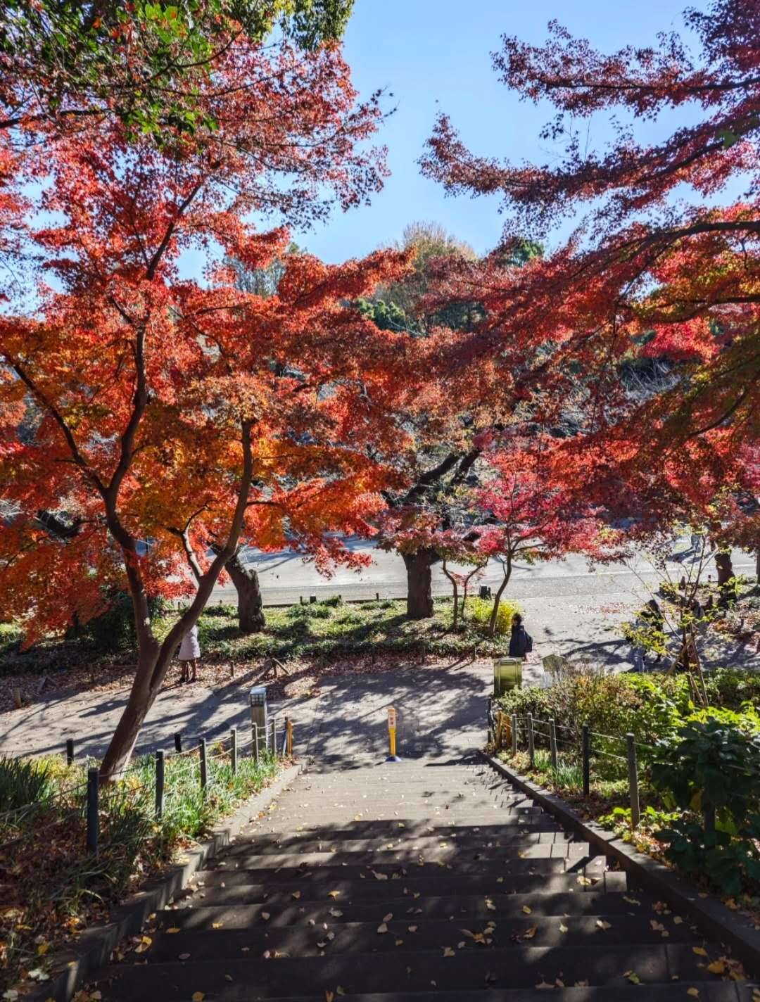  逛博物館、看萌熊貓、湖邊散步，上野把治癒和文化都裝下了。