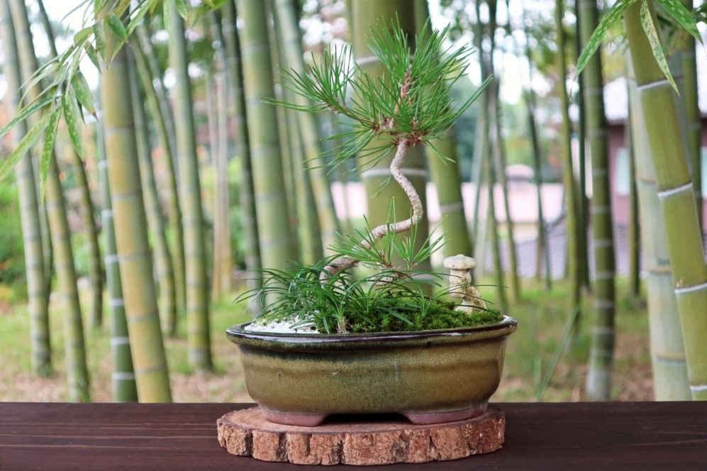 日本特色手打烏冬麵體驗（埼玉）