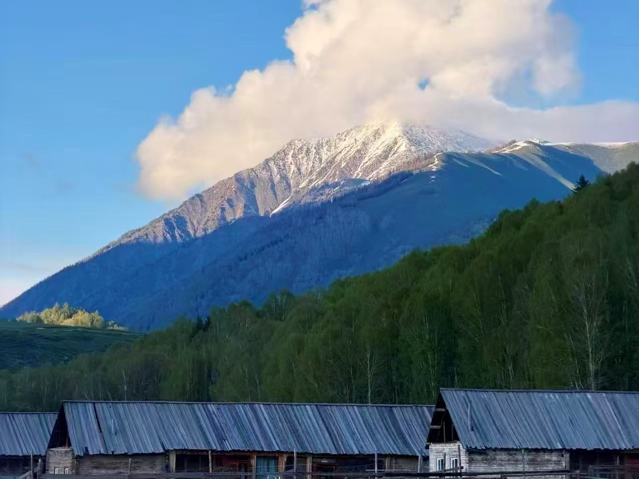 巍峨雪山覆著皚皚積雪，蓬鬆雲朵纏繞山巔，山下茂密翠綠白樺林海連綿成片。前景是連片古樸原木木屋，灰鐵皮屋頂質樸厚重，雪山林海木屋同框，勾勒禾木壯闊山野畫卷