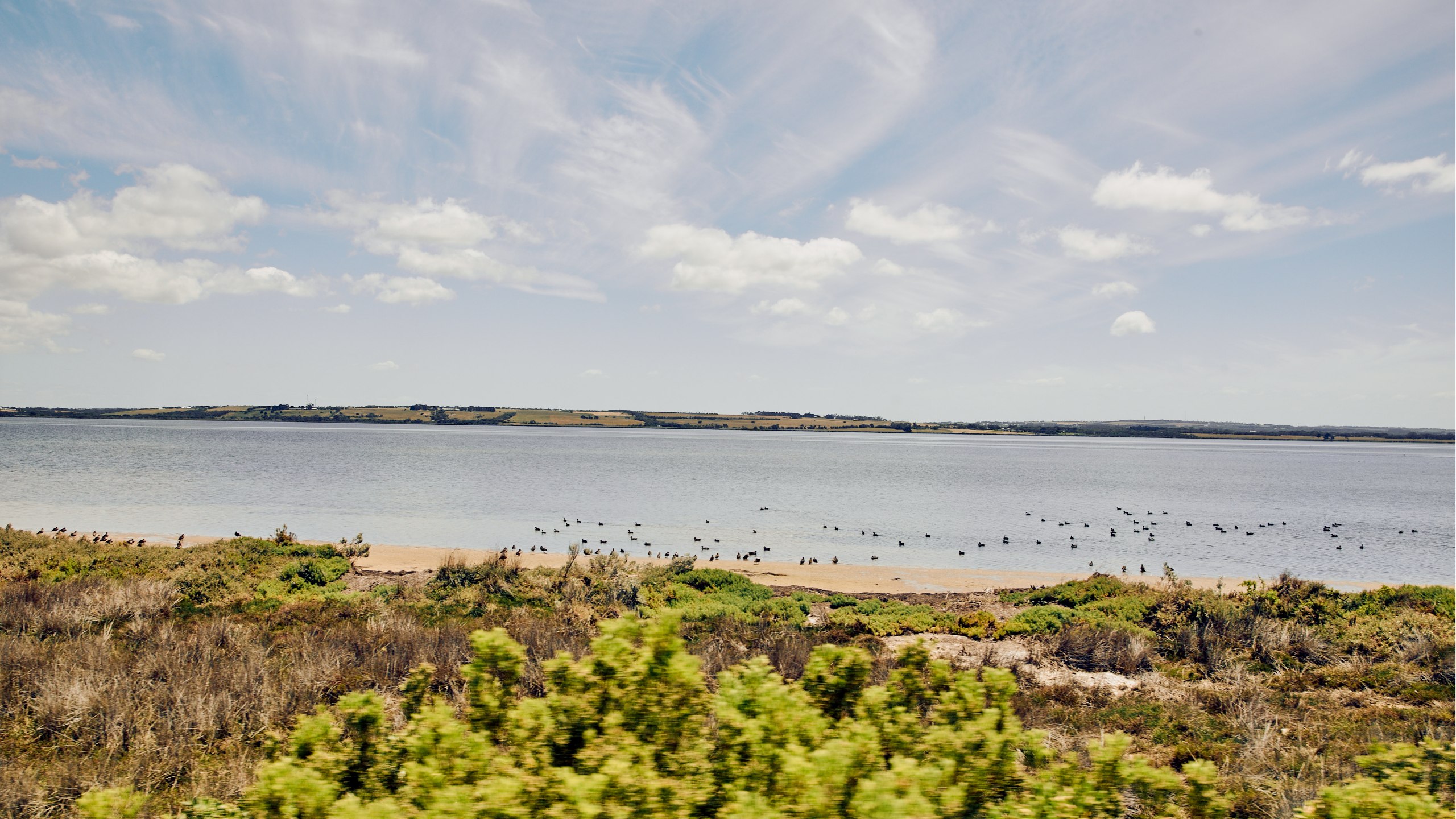 在您的用餐旅程中，將能飽覽如詩如畫的「天鵝灣」美景。