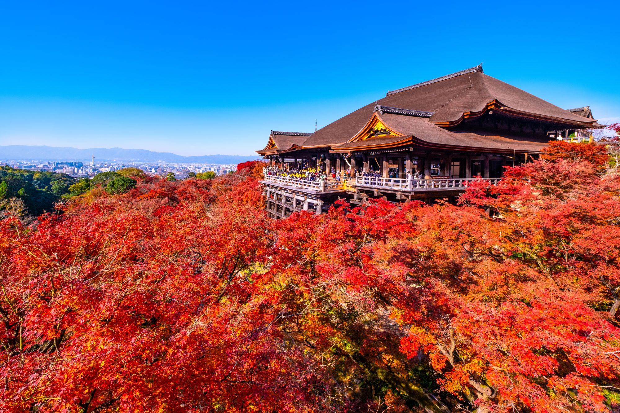 從京都出發的一日遊：伏見稻荷大社、嵐山和清水寺
