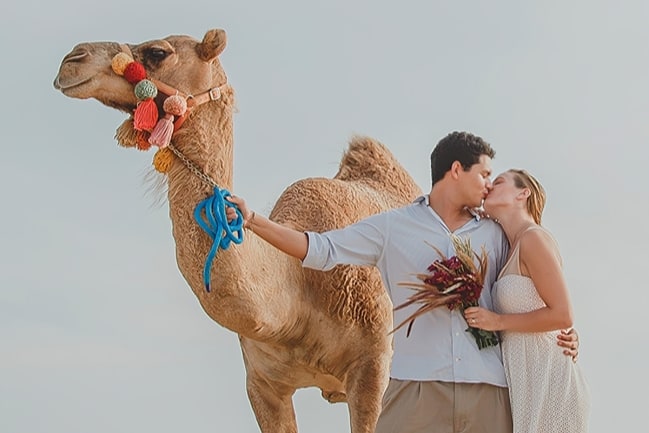 Tourists strike a pose with their camels, soaking in the beauty of Baja’s landscape