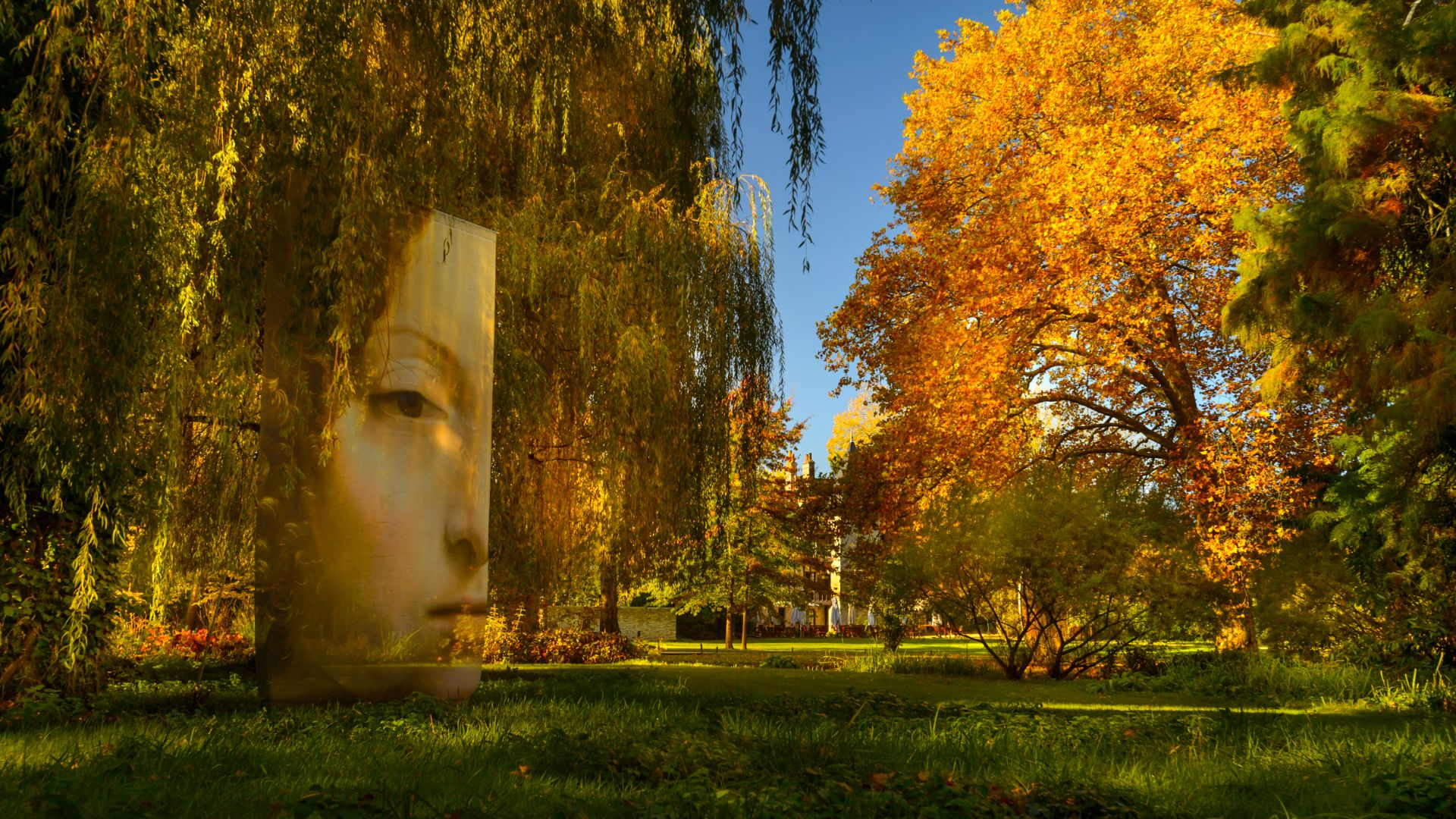 Chateau du Clos Luce ticket in Amboise