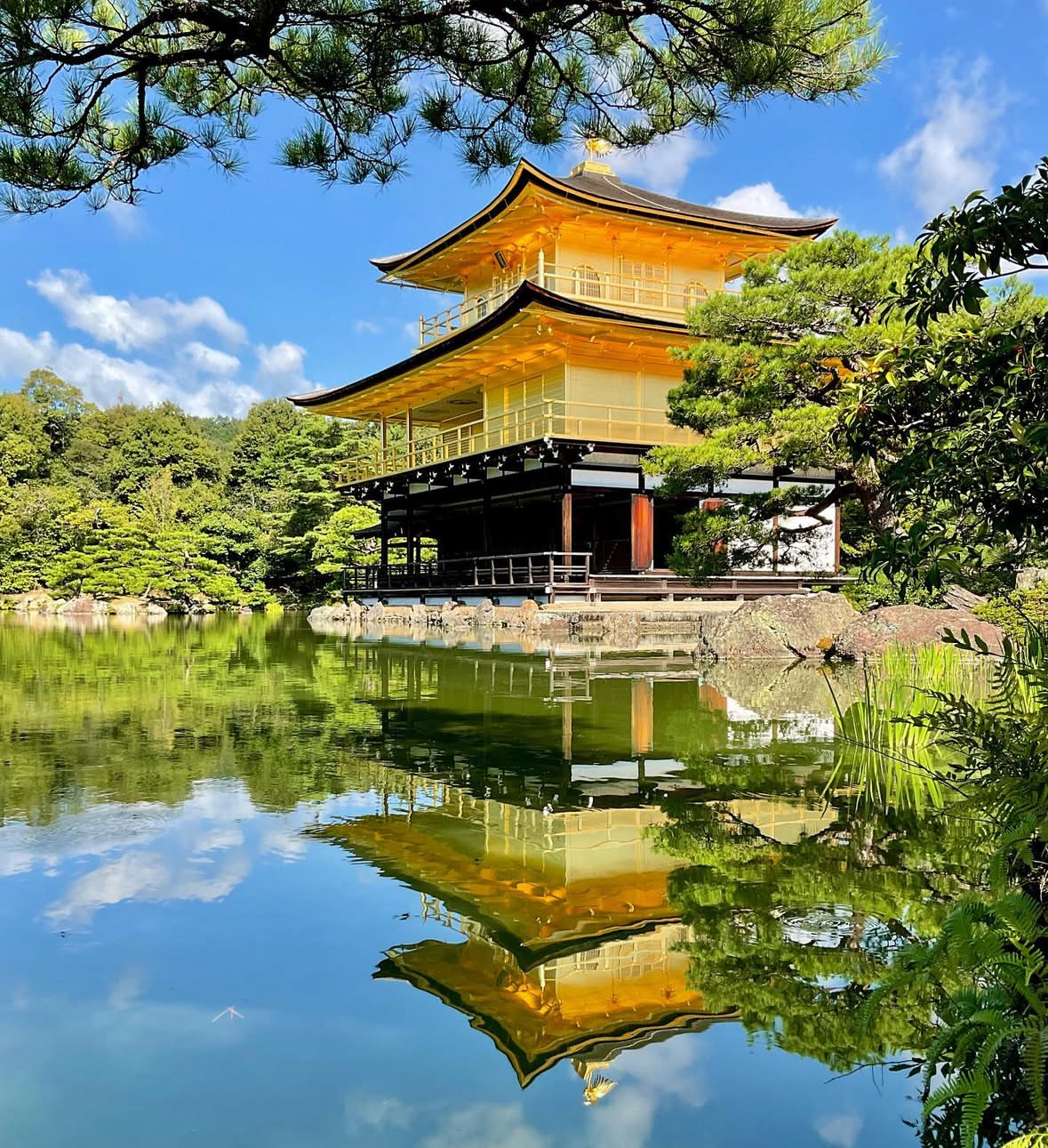 【京都全景一日遊】二條城&金閣寺&伏見稻荷大社千本鳥居&嵐山渡月橋&和服森林&竹林小徑（大阪或京都出發）