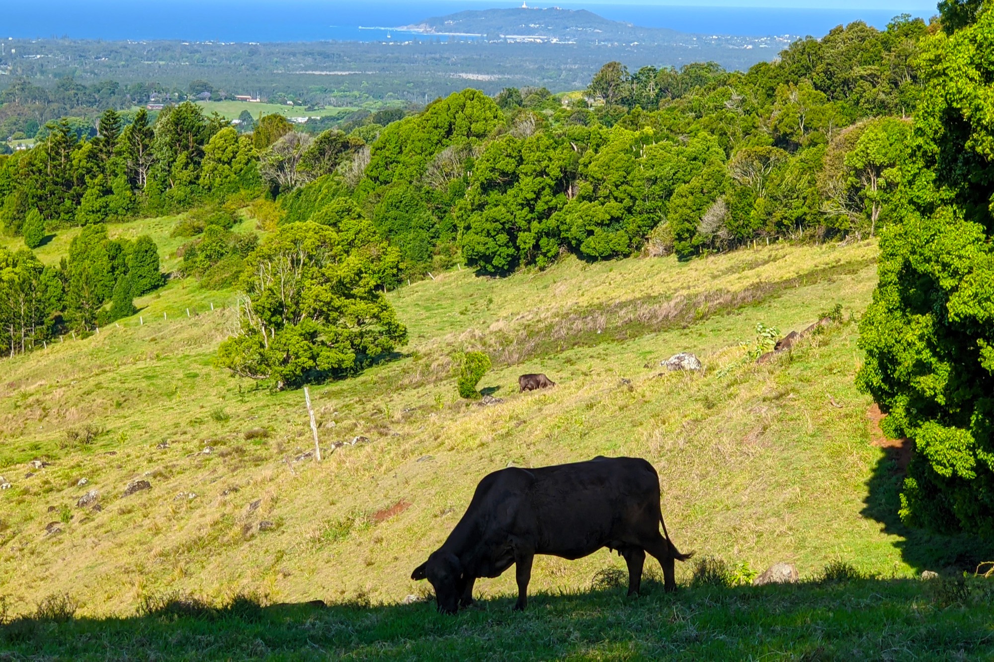 Byron Bay, Bangalow and Gold Coast Day Tour from Brisbane