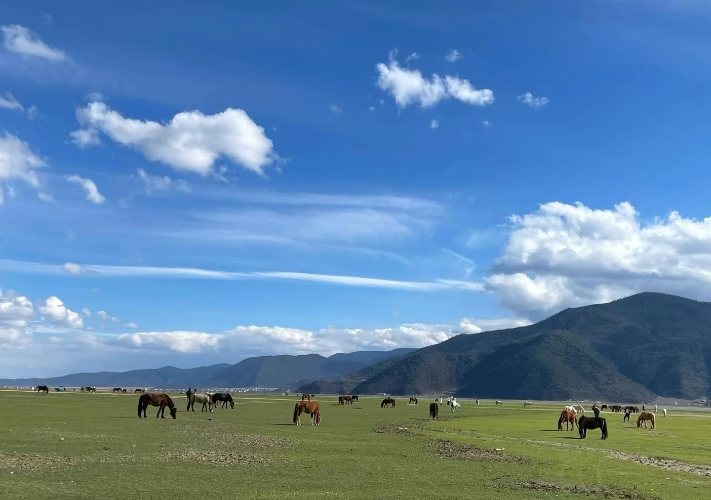 [Colorful Yunnan]: Kunming + Dali + Shaxi + Lijiang + Shangri-La 8 days 7 nights private tour