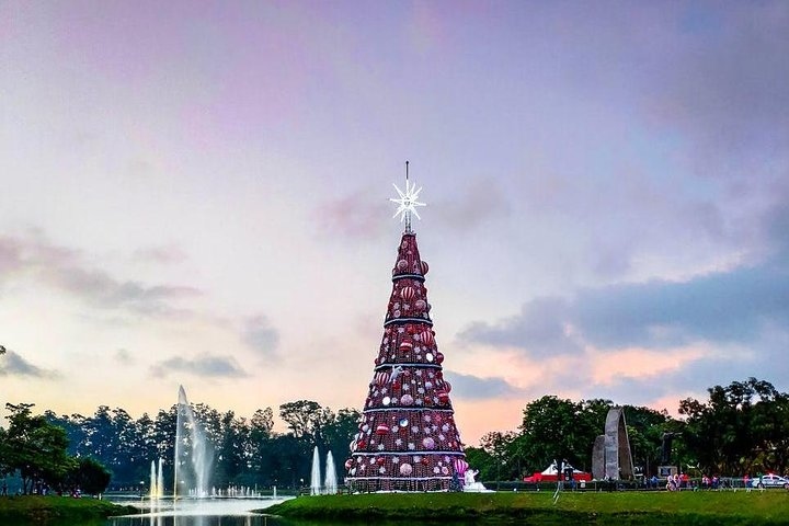 クリスマスプライベートウォーキングツアー（ヴヴェイ）