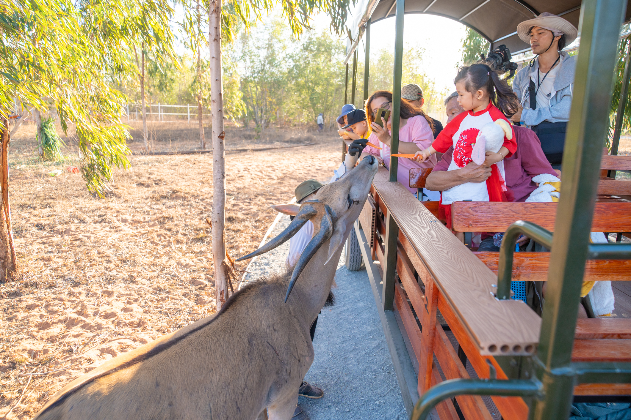 狩獵咖啡館 & 藩切動物園門票