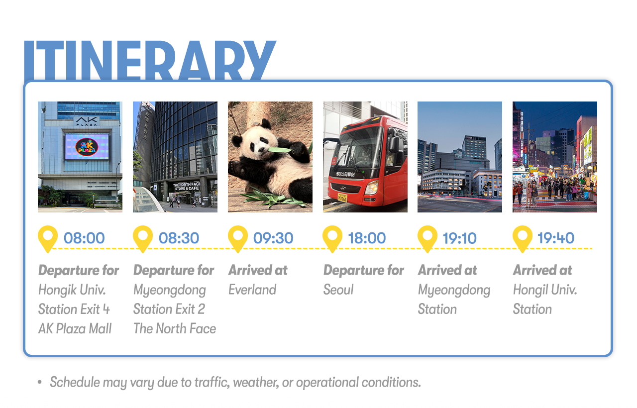 Everland Tour with Shuttle: Fast Panda World Entry (Ends 31/8)