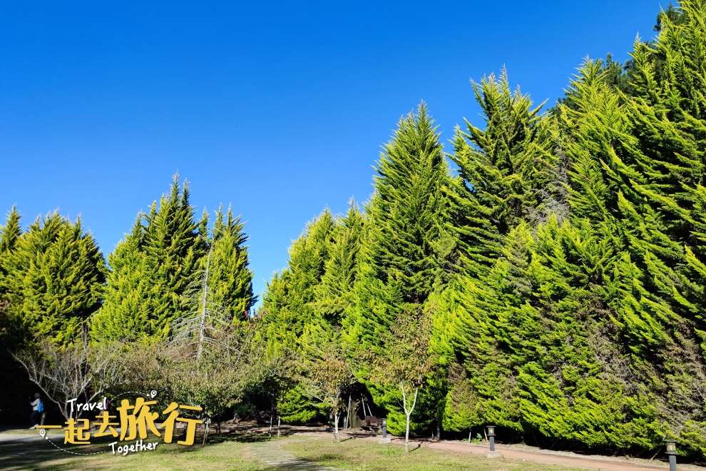 「高山美景，遠足仙境」合歡溪步道 三日遊