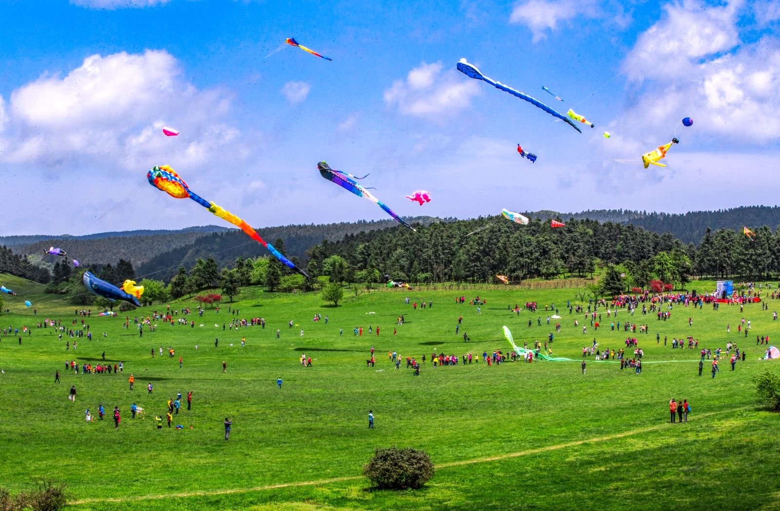【仙女山森林公園】如您選擇前往仙女山國家森林公園，這裡以高山草甸、森林、雪景和歐式田園風光聞名，被譽為“東方瑞士”和“山城夏宮”，是重慶周邊避暑、滑雪、親近自然的絕佳目的地。