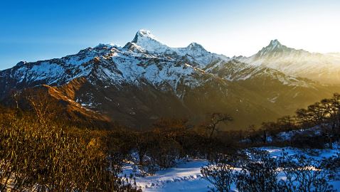 Pokhara Mohare Danda Multi-Day Trekking Experience