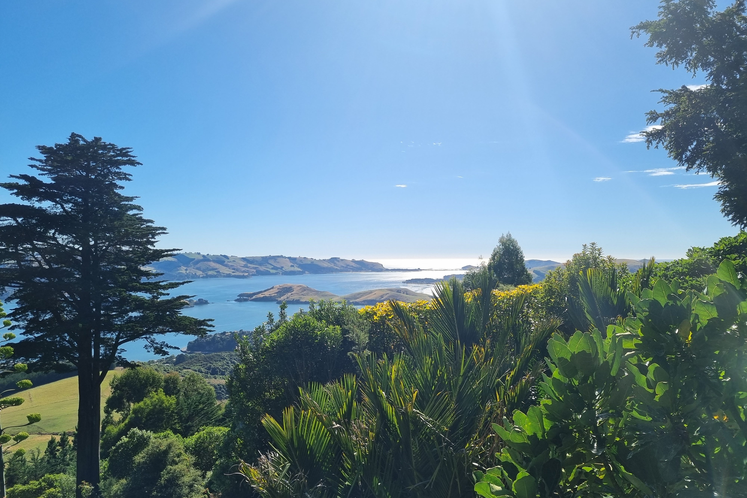 但尼丁大陸半島之旅