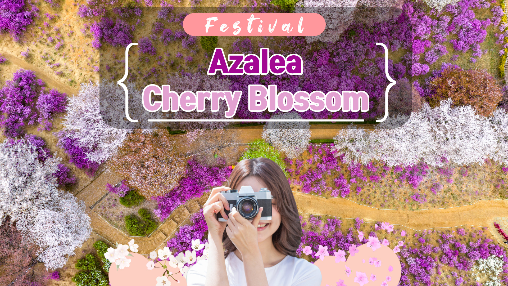 Bucheon Azalea & Cherry Blossom Festival & Gwangmyeong Cave Tour