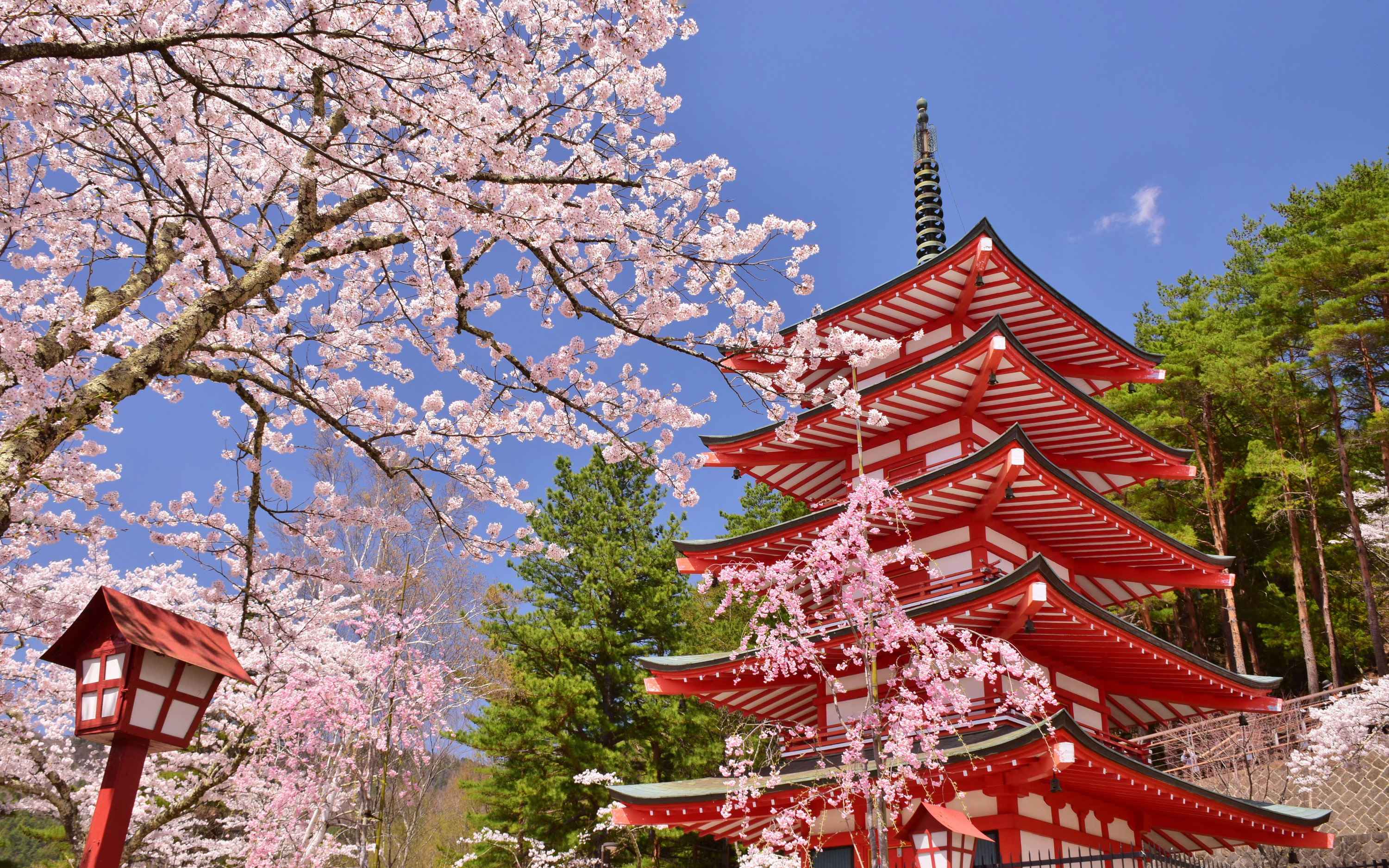 Popular Must-See Six Views of Mount Fuji Day Tour - Asama Park, Lake Kawaguchi, Oshino Hakkai, Lake Yamanaka, Lawson Convenience Store, and Hikawa Clock Shop