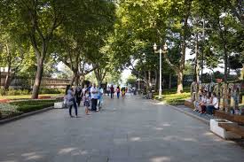 伊斯坦布爾：考古之旅（含博物館門票）