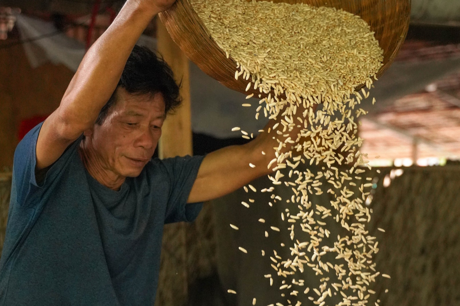 Mekong Delta Three Days Two Nights Guided Tour From Ho Chi Minh City