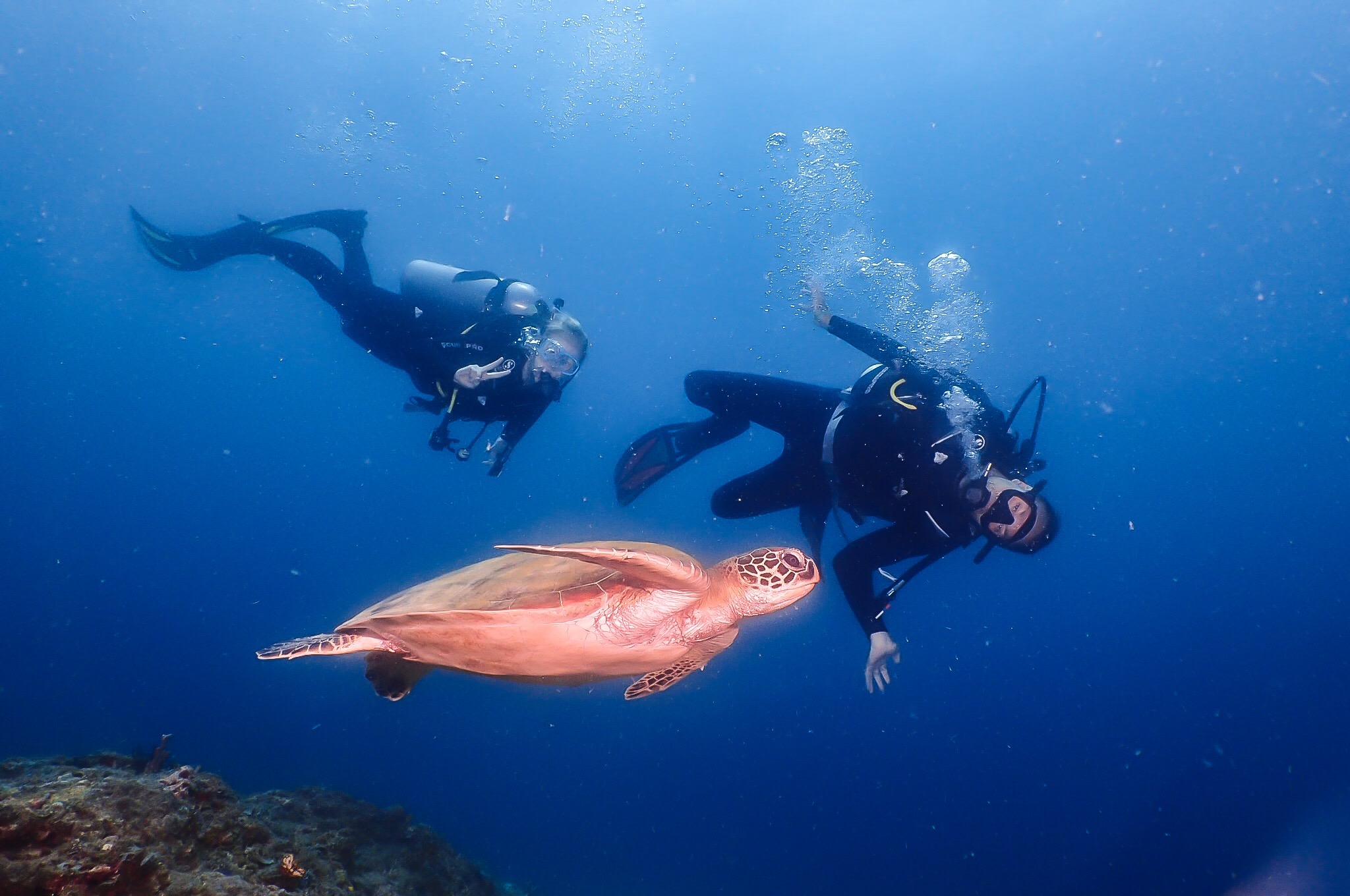 Explore El Nidos best diving sites with PADI 5 Star Dive Resort