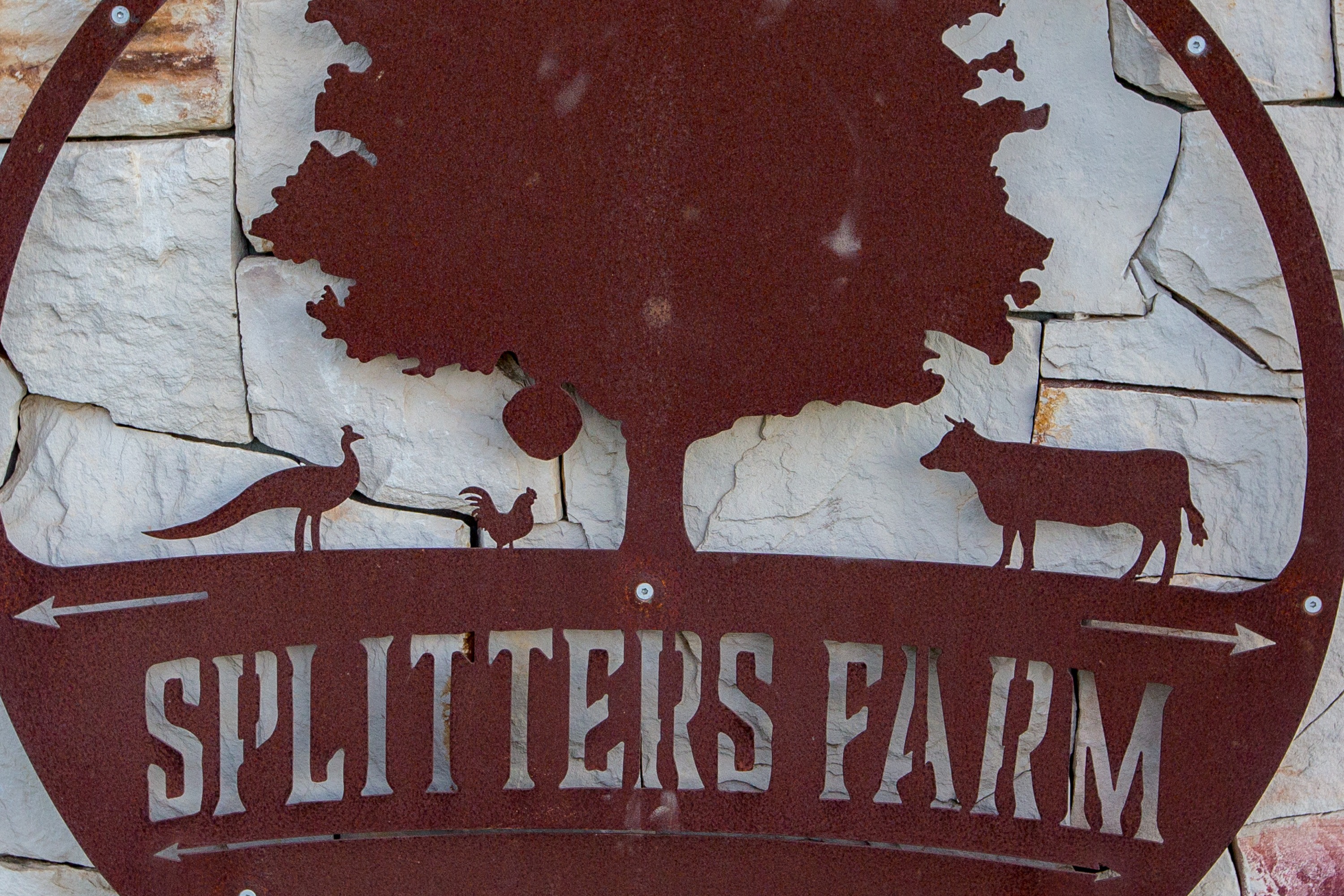 Bundaberg Splitters Farm Half-Day Guided Tour