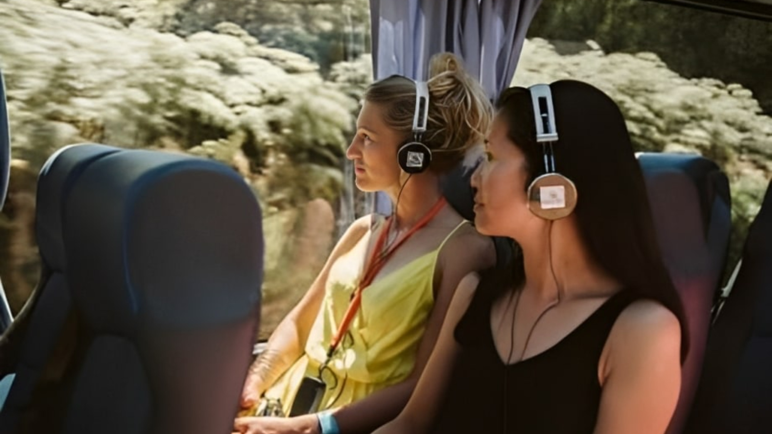 Glenorchy Kiwi Special Tour