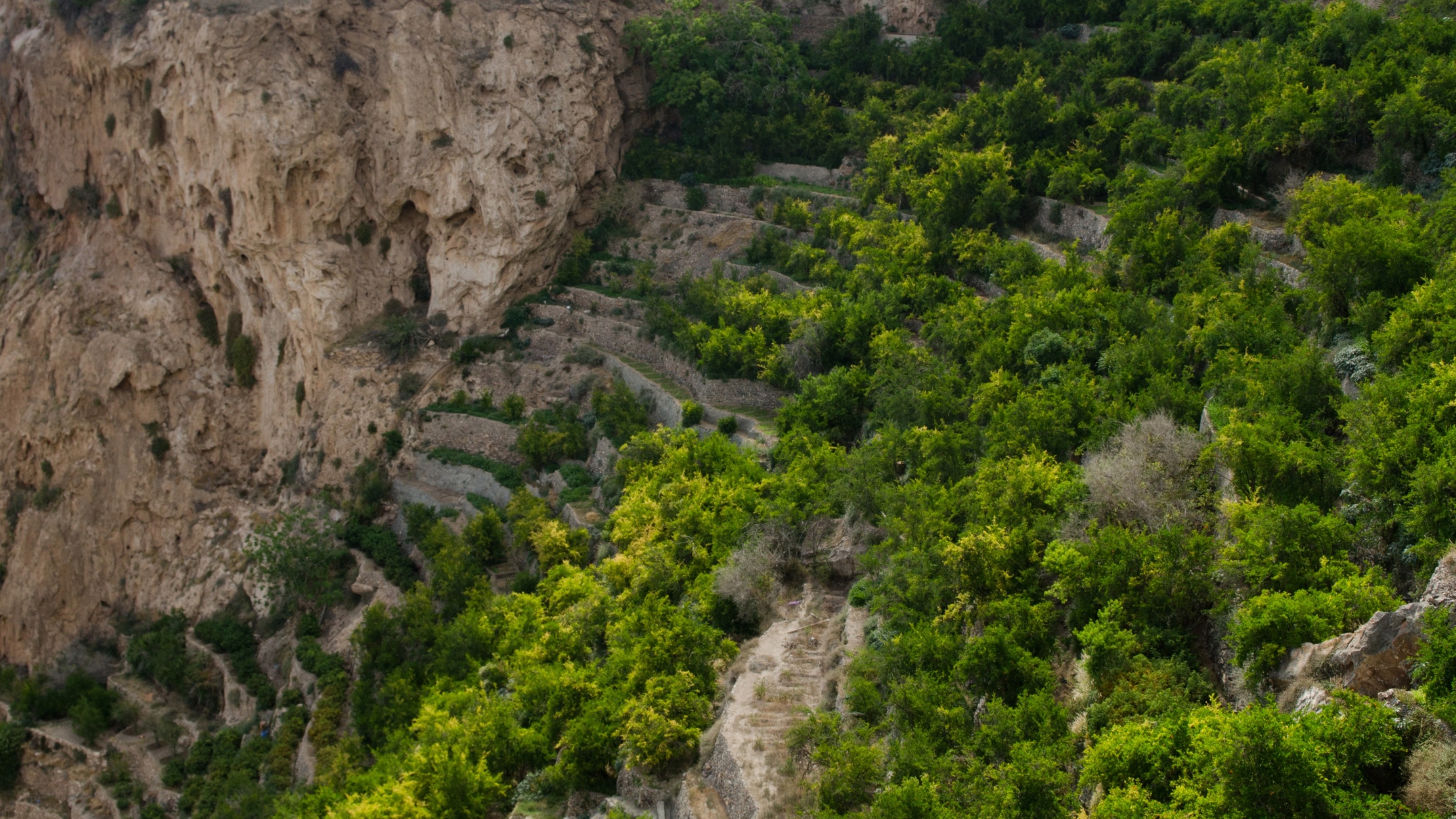 Al Jabal Al Akhdar Via-Ferrata climbing experience in Oman
