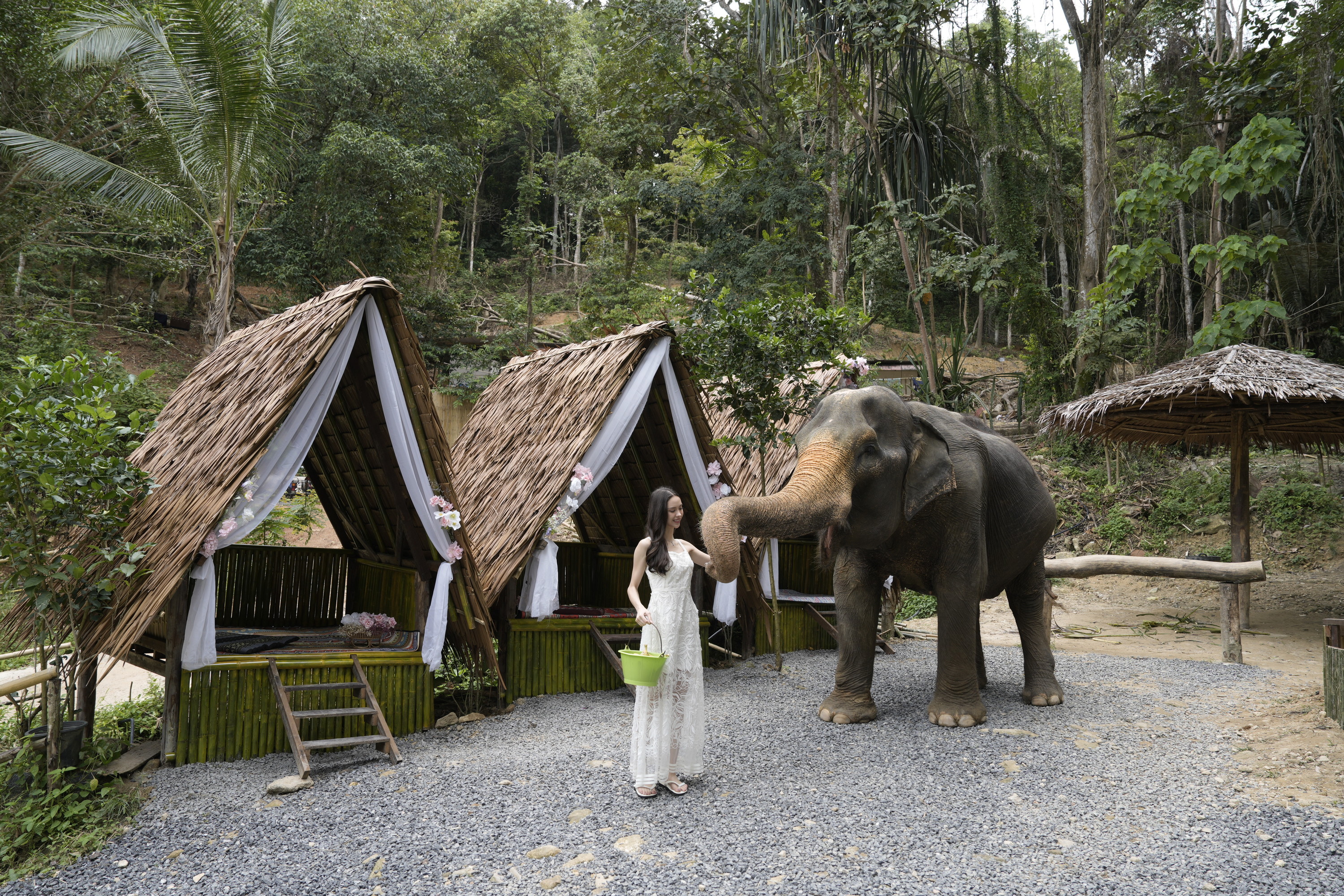 Patong Elephant Hug Experience in Phuket