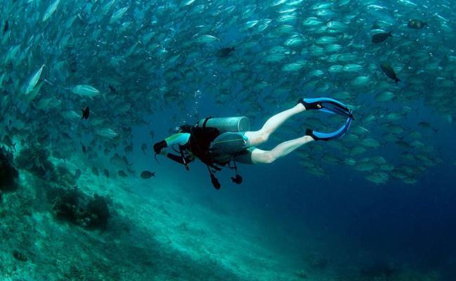仙本那 PADI 五星潛水中心進階潛水線上課程