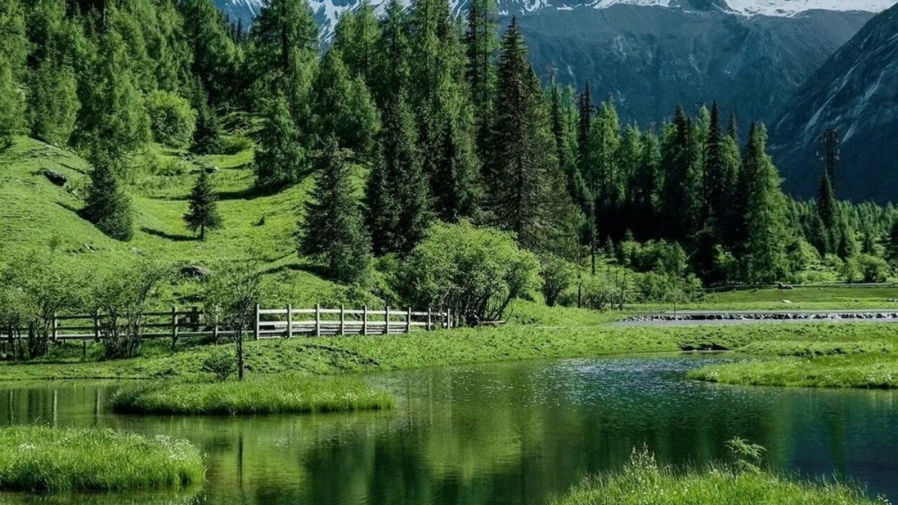 四姑娘山雙橋溝-川西小瑞士
欣賞雪山、森林、草甸、溪流、湖泊交織的高原風光