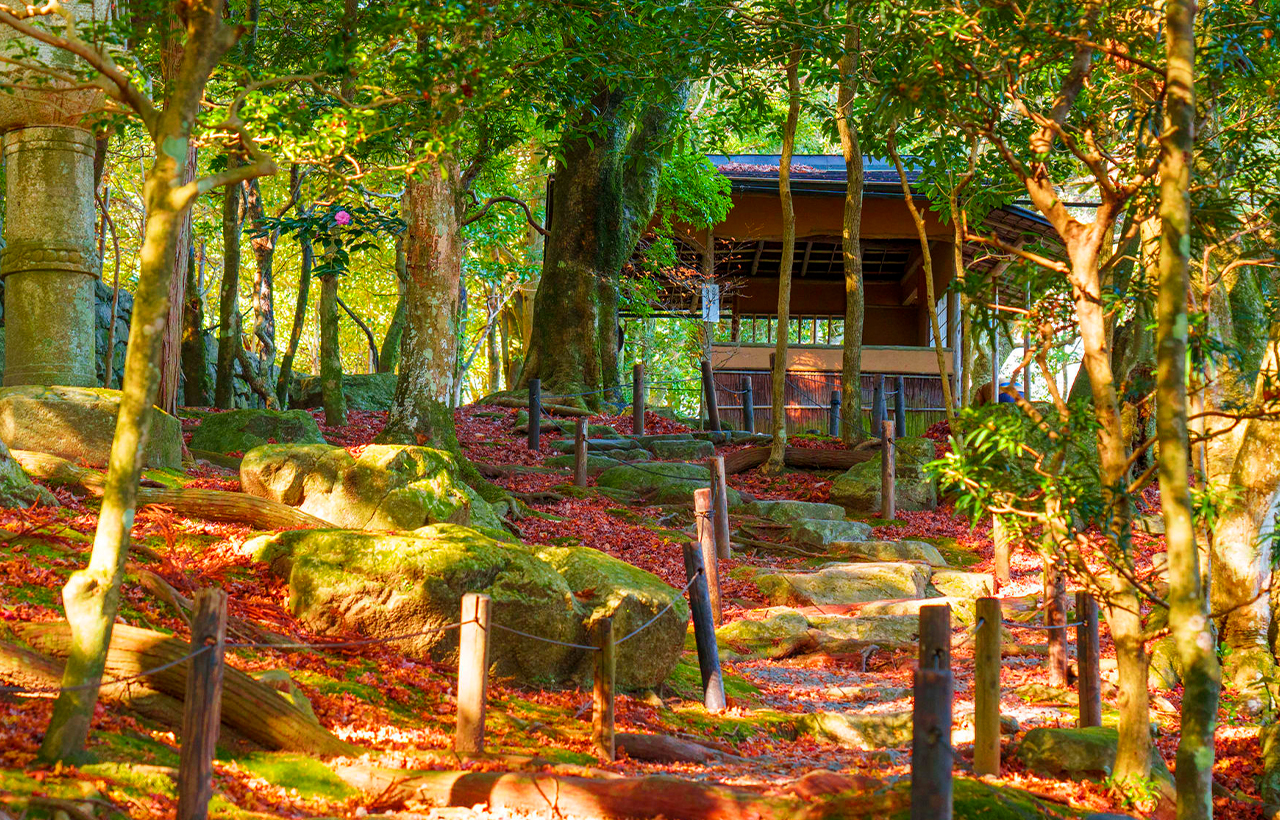 Garden size: It covers an area of about 3,300 square meters. It is a large-scale garden and the largest one in Enryakuji Temple.