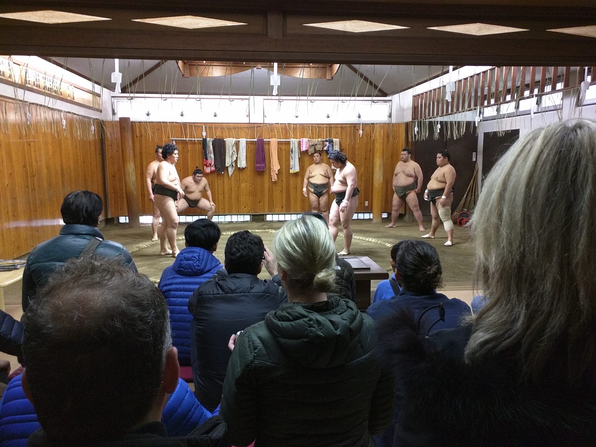 東京相撲晨練參觀體驗