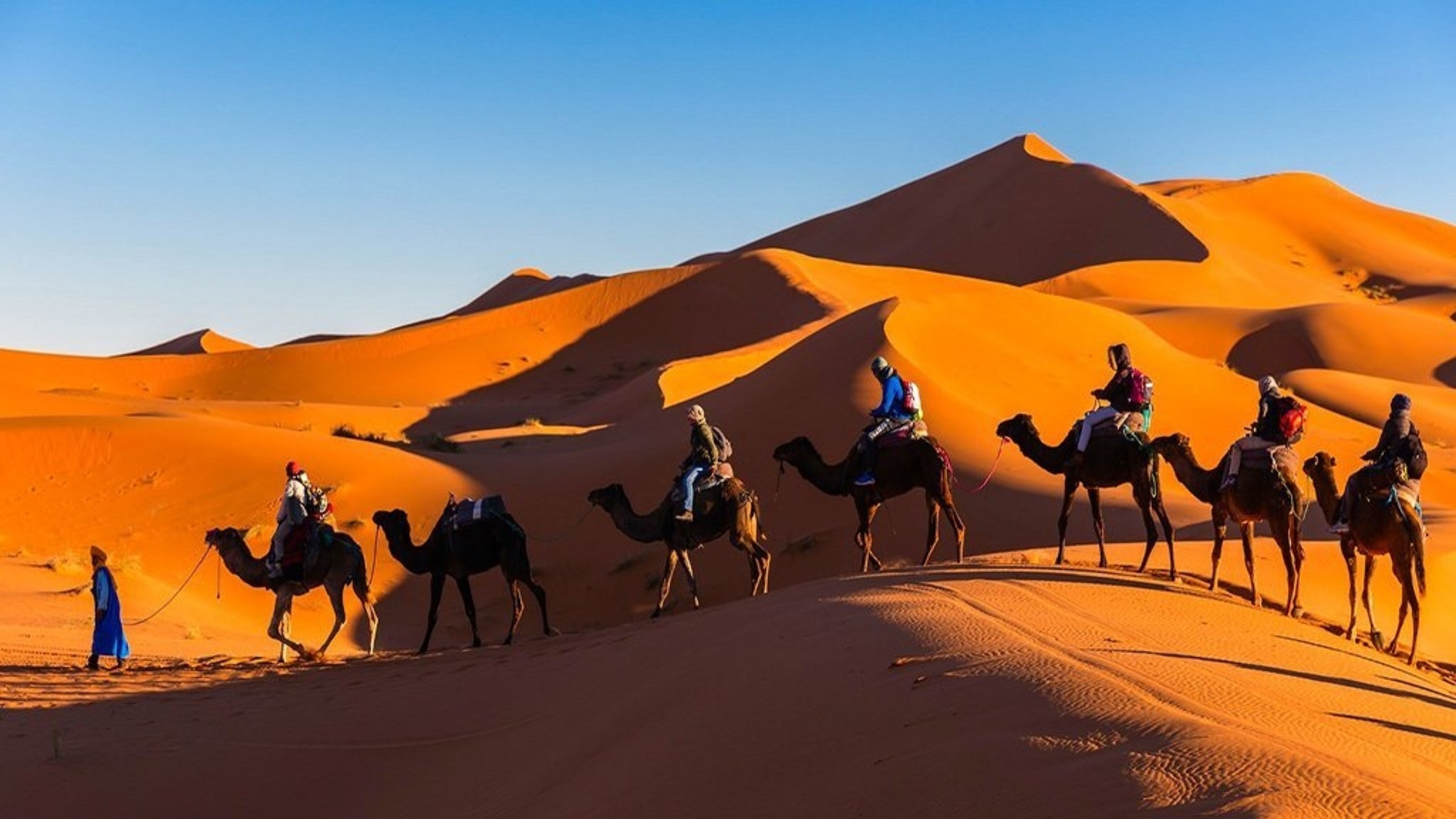 3D2N Ouarzazate, Berber Village, and Fes tour from Marrakech