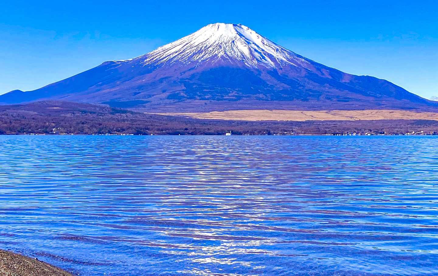 【From Tokyo】One-day tour to Mt. Fuji and Hakone | Cable car experience included | Owakudani volcano wonders | Chinese and English tour guides | Yamanakako swans | Oshino Hakkai beauty | Torii reflections