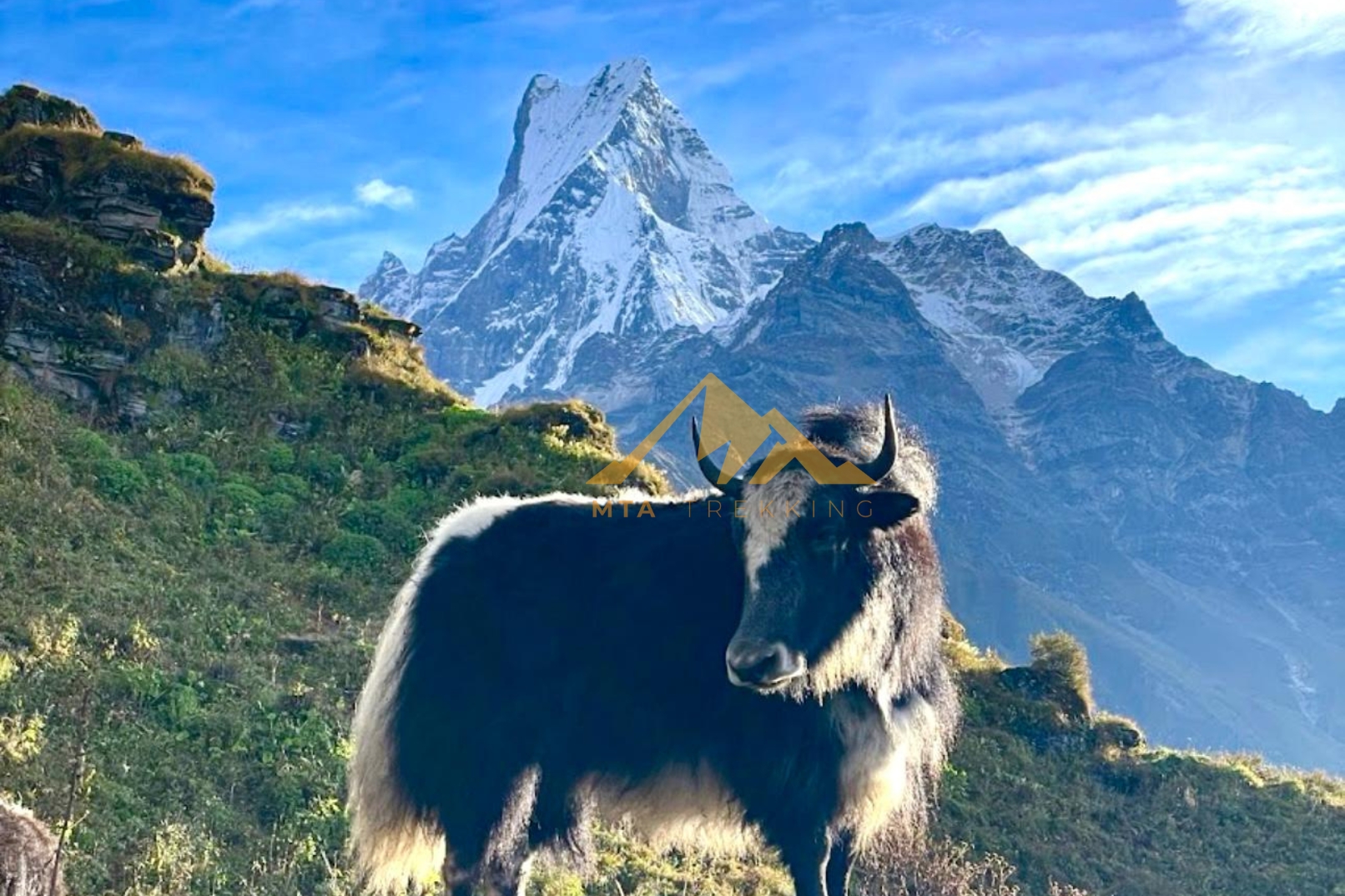 博卡拉：4天馬迪喜馬爾徒步之旅