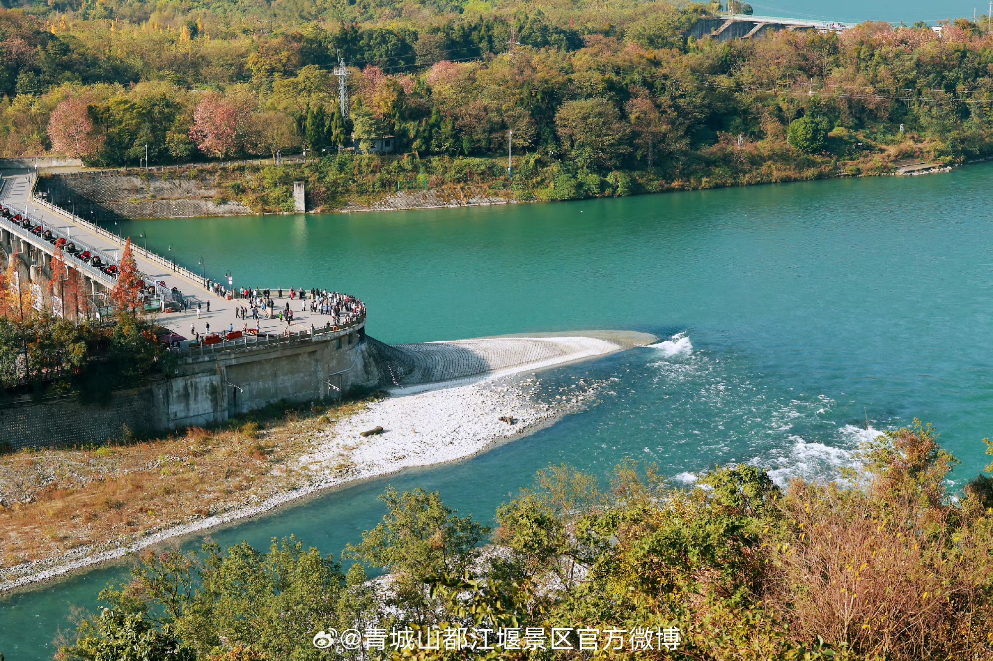 四川省成都大熊貓繁育研究基地 都江堰一日遊（“頂流女明星“熊貓花花+都江堰藍眼淚打卡+探尋水利工程）