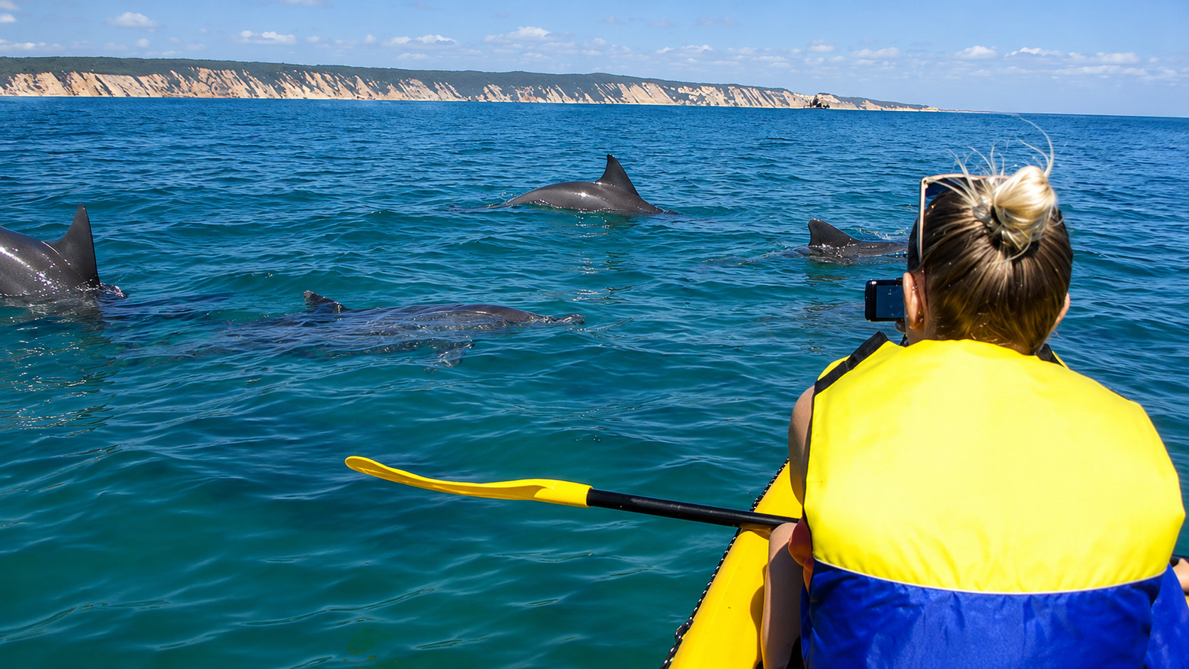 Noosa: Epik Delfin Okean Kayak Safari va Plyaj 4X4 Sarguzasht