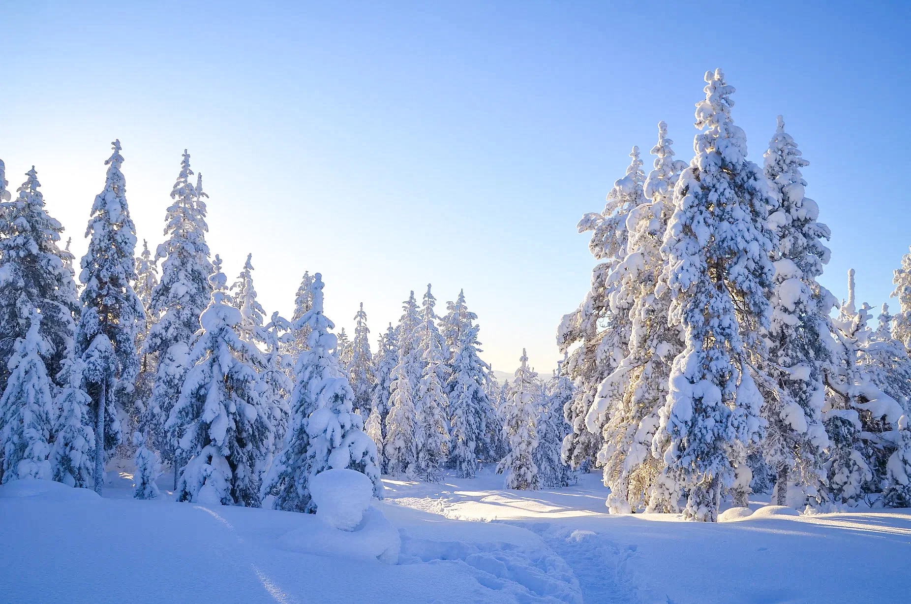 拉普兰雪地摩托车体验