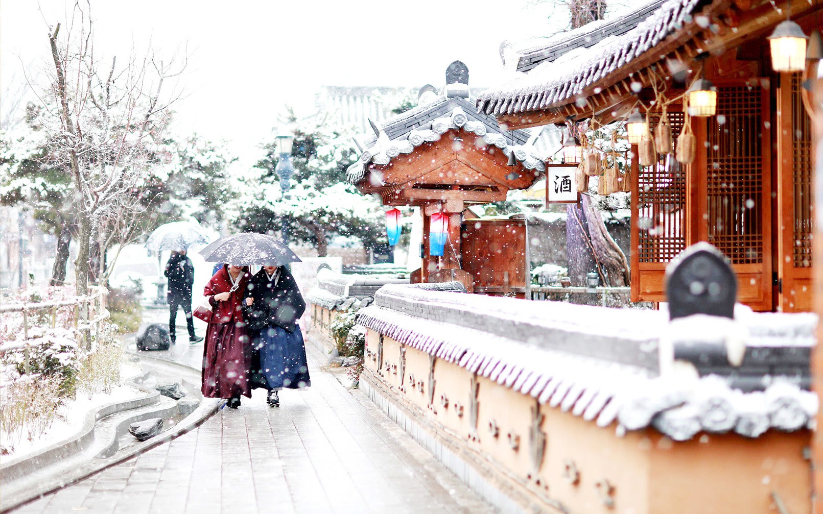 Jeonju Hanok Village Tour from Seoul:Fall Colors,Snow,Cherry Blossom