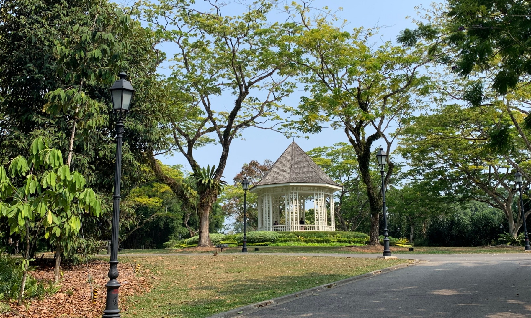 新加坡經典景點導覽之旅（牛車水＆植物園）