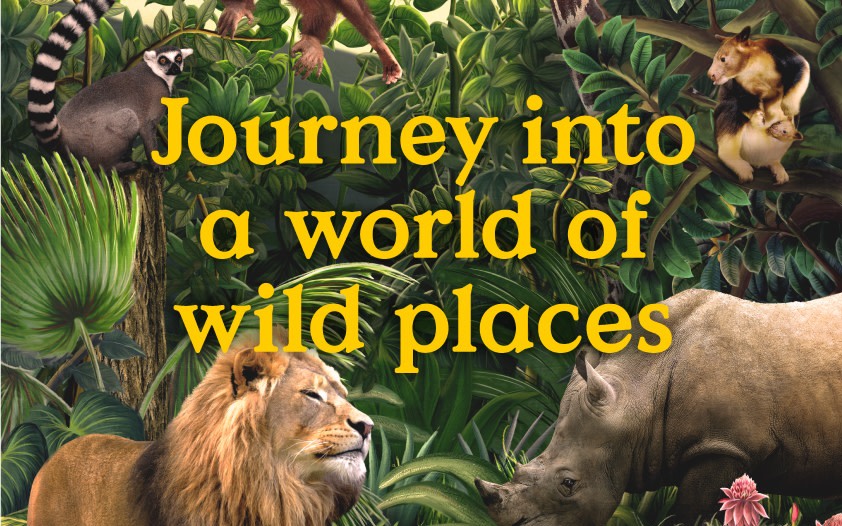 Singapore Zoo Ticket | Mandai Wildlife Reserve, Singapore