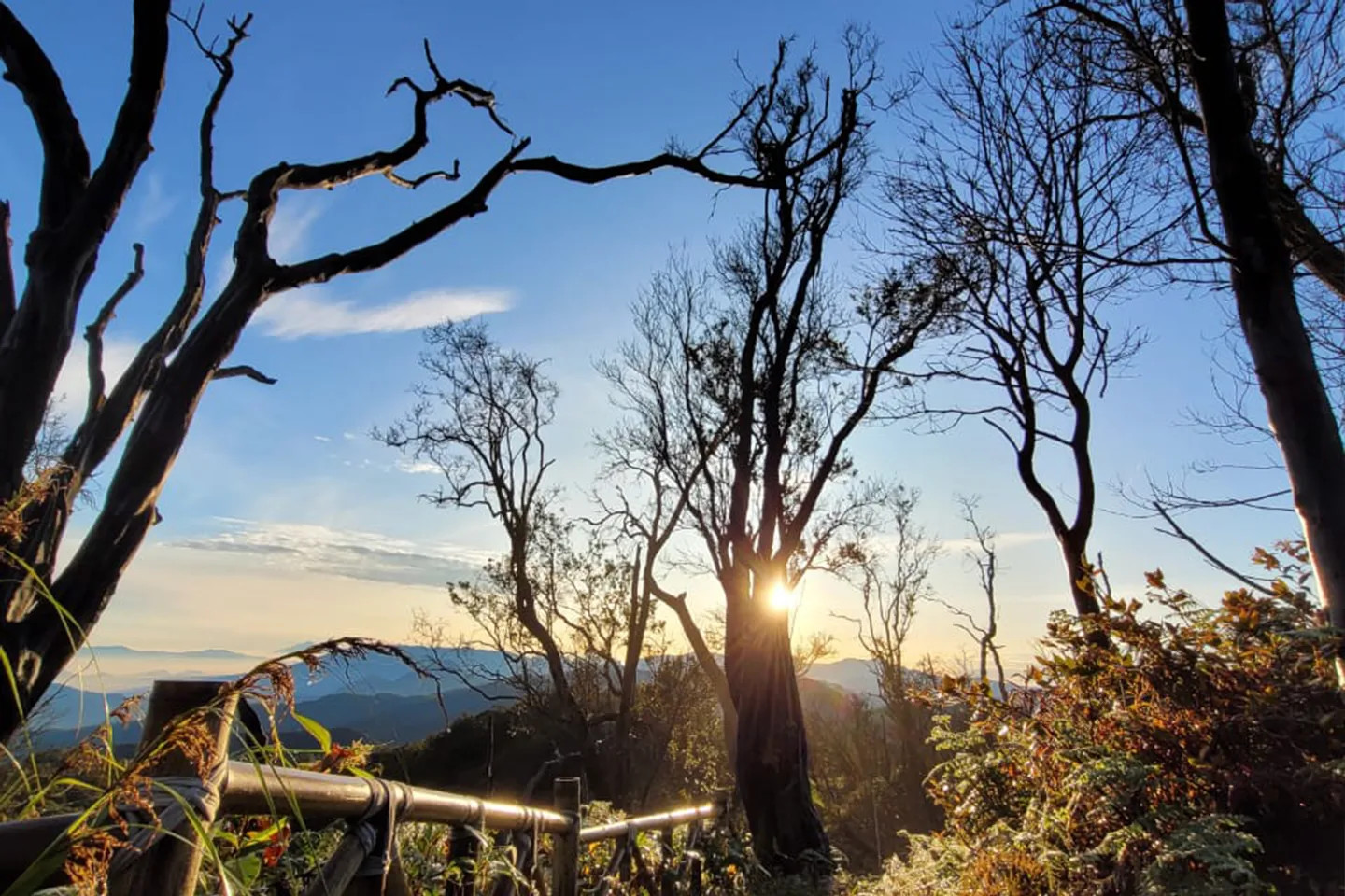 在白火山口 (Kawah Putih) 感受清新的山間空氣和金色的晨光 在白火山口 (Kawah Putih) 感受清新的山間空氣和金色的晨光