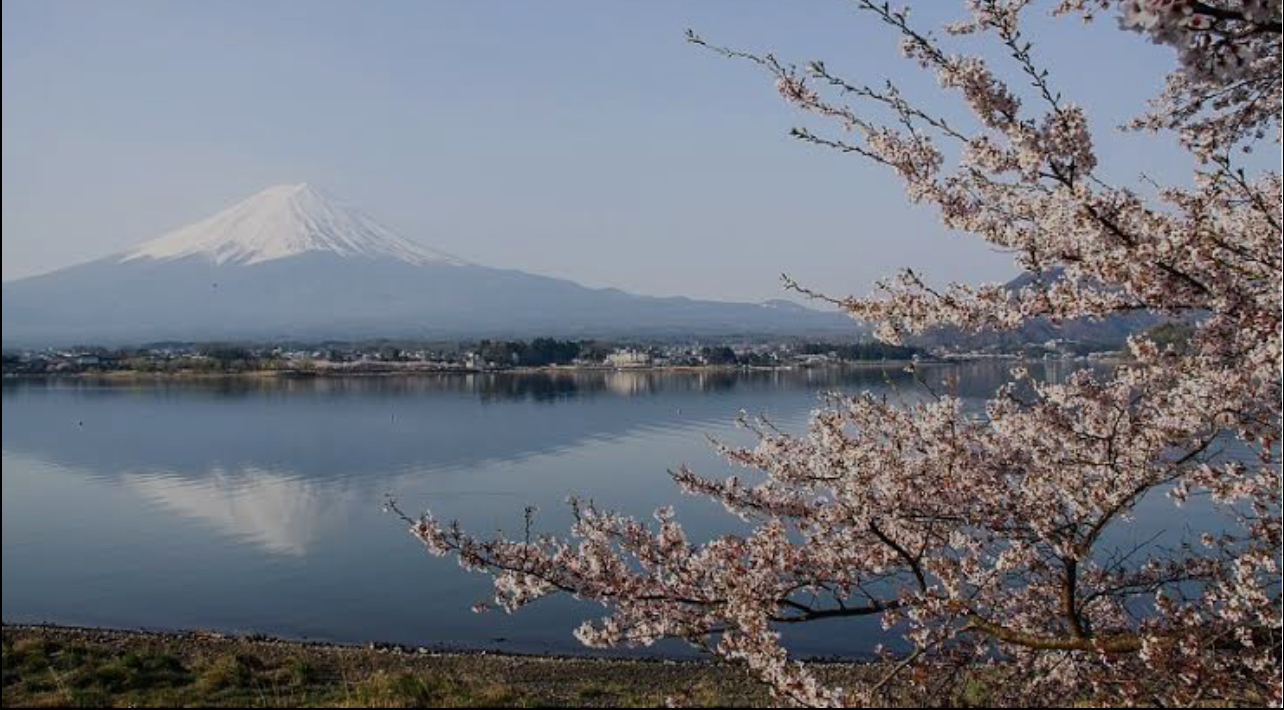 富士山一日私人遊（配有英語司機）
