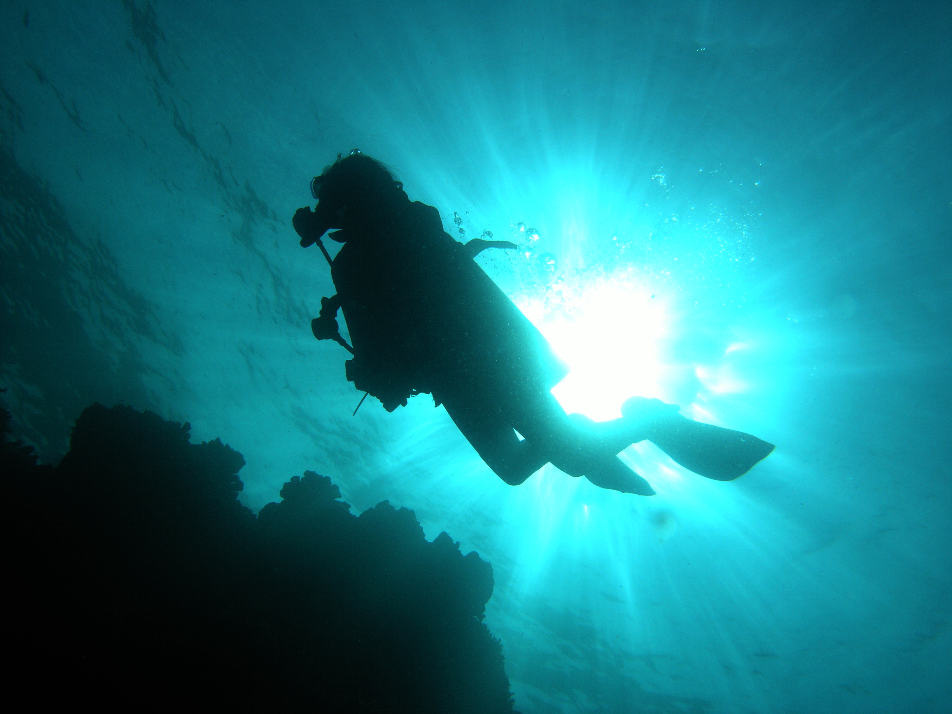 Enriched Air Diver (Nitrox) in Moalboal with PADI 5 Star CDC