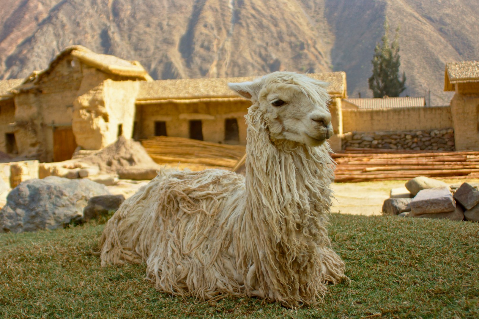 Cusco Sacred Valley, Machu Picchu and Rainbow Mountain 5 Days